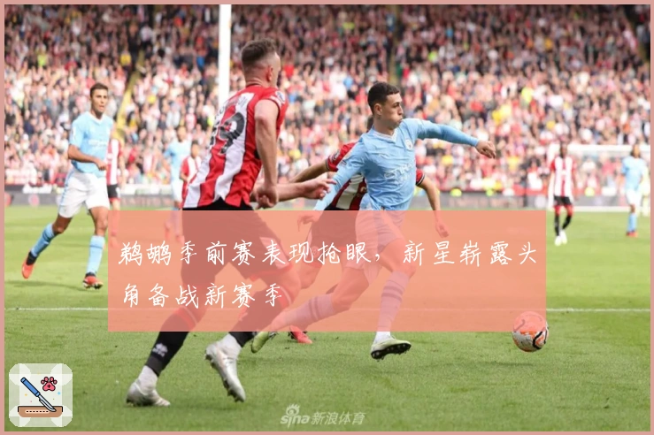 鹈鹕季前赛表现抢眼，新星崭露头角备战新赛季