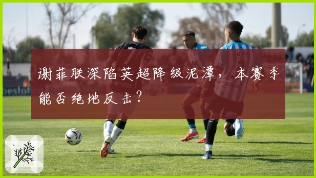 谢菲联深陷英超降级泥潭，本赛季能否绝地反击？