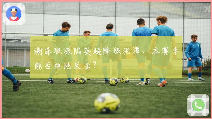 谢菲联深陷英超降级泥潭,本赛季能否绝地反击?