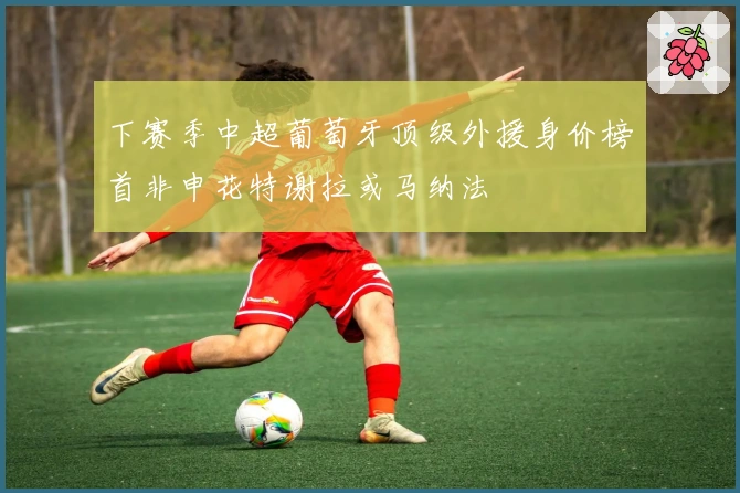 下赛季中超葡萄牙顶级外援身价榜首非申花特谢拉或马纳法